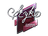 Sticker | STYKO (Foil) | Boston 2018