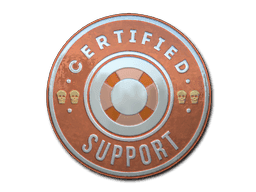 Sticker | Support (Foil)