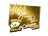 Sticker | TaZ (Gold) | Cologne 2015