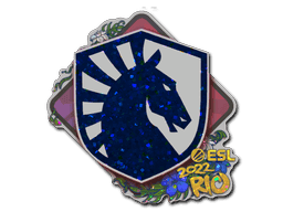 Image of an item