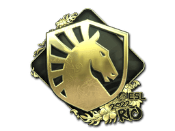 Image of an item