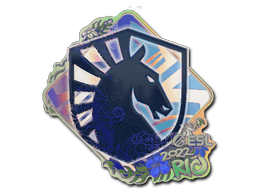 Image of an item