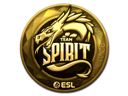 Image of an item