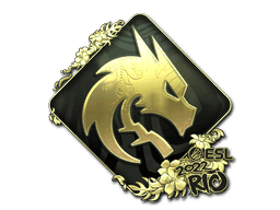 Image of an item