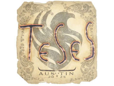 Sticker | TeSeS | Austin 2025