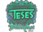 Sticker | TeSeS | Budapest 2025