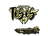 Sticker | TeSeS (Gold) | Antwerp 2022