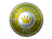 Sticker | The Pro (Foil)
