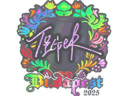 Sticker | Tiger (Holo) | Budapest 2025