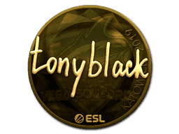 Sticker | tonyblack (Gold) | Katowice 2019