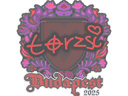 Sticker | torzsi | Budapest 2025