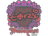 Sticker | torzsi | Budapest 2025