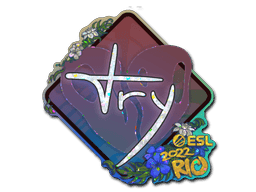 Image of an item
