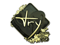 Image of an item