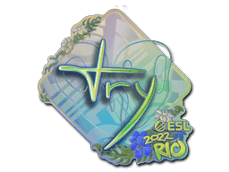 Image of an item