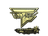 Sticker | Twistzz (Gold) | Antwerp 2022