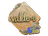 Sticker | v4lde (Holo) | Rio 2022