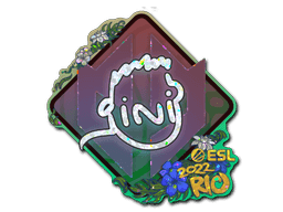 Image of an item