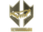 Sticker | VINI (Gold) | Copenhagen 2024