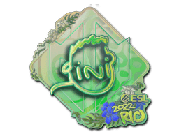 Image of an item