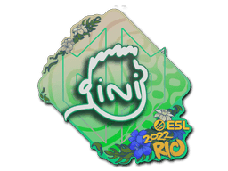 Image of an item