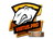 Sticker | Virtus.Pro (Foil) | Atlanta 2017