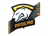 Sticker | Virtus.pro (Foil) | Katowice 2015