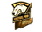 Sticker | Virtus.Pro (Gold) | Boston 2018