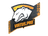 Sticker | Virtus.pro | Katowice 2015