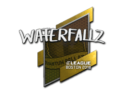 Image of an item
