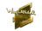 Sticker | wayLander (Gold) | Boston 2018