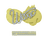 Sticker | woxic | Copenhagen 2024