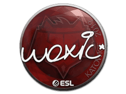 Sticker | woxic | Katowice 2019