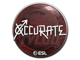 Sticker | xccurate | Katowice 2019