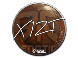 Sticker | Xizt | Katowice 2019