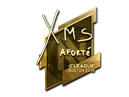 Sticker | xms (Gold) | Boston 2018