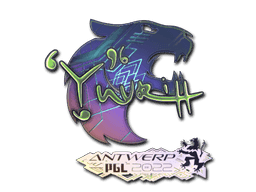 Image of an item