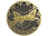 Sticker | yxngstxr (Gold) | Cologne 2026
