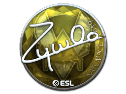 Image of an item
