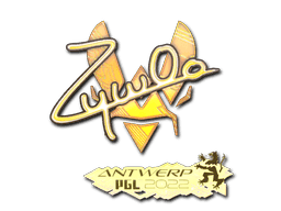 Image of an item