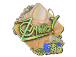 Image of an item