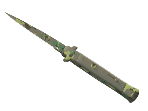 Image of an item