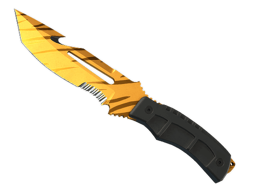 Image of an item