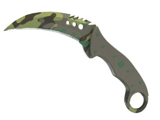Image of an item