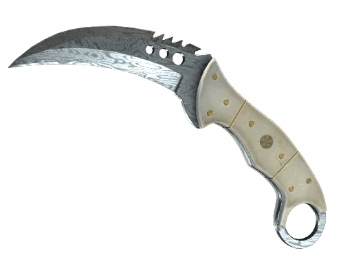 ★ StatTrak™ Talon Knife | Damascus Steel (Field-Tested)