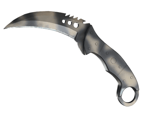 Image of an item
