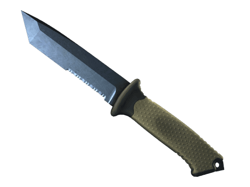 Image of an item
