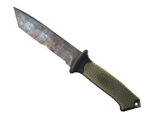 Image of an item