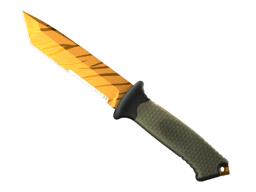 Image of an item