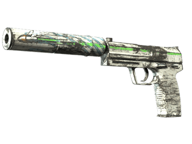 Souvenir USP-S | Road Rash (Field-Tested)